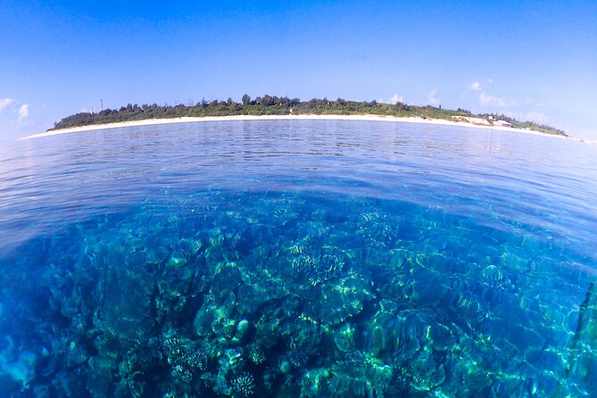 Okinawa Scuba Diving for Certified Divers (3 Boat Dives + Lunch) - What to Bring