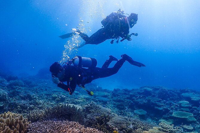 Okinawa Scuba Diving for Certified Divers (3 Boat Dives + Lunch) - Additional Information
