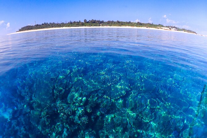 Okinawa: Scuba Diving Tour With Wagyu Lunch and English Guide - Cancellation and Refund Policy