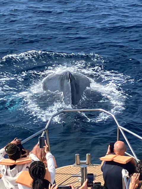 Okinawa Whale Watching From Naha With Pickup Option - Whale Watching Experience