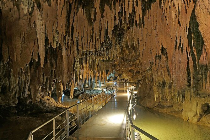 Okinawa World Admission Ticket | Japan - Key Points