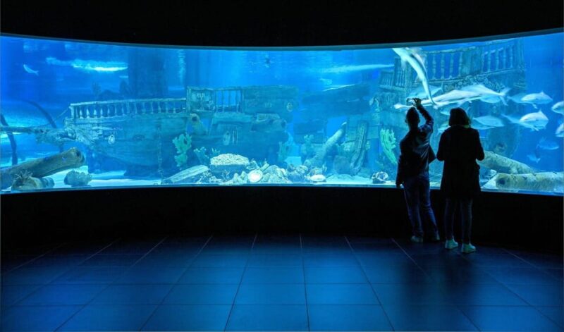 Okurcalar/Alanya: Antalya Aquarium Round-Trip Bus Transfer - Aquarium Attractions