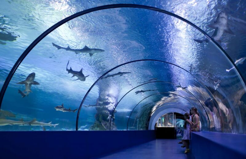 Okurcalar/Alanya: Antalya Aquarium Round-Trip Bus Transfer - WildPark Experience