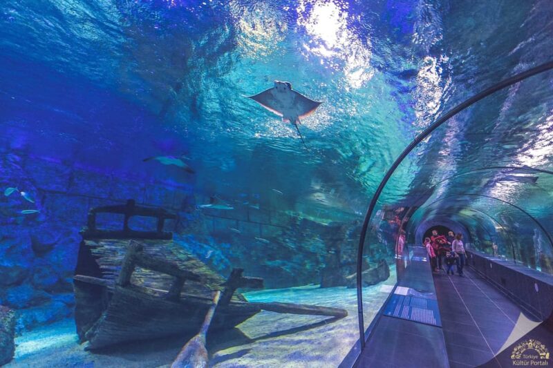 Okurcalar/Alanya: Antalya Aquarium Round-Trip Bus Transfer - Oceanride XD Cinema