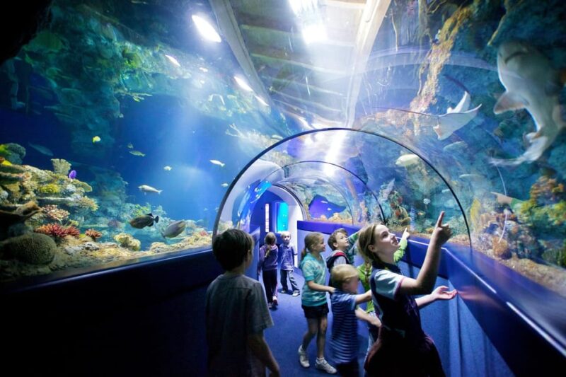 Okurcalar/Alanya: Antalya Aquarium Round-Trip Bus Transfer - Frequently Asked Questions