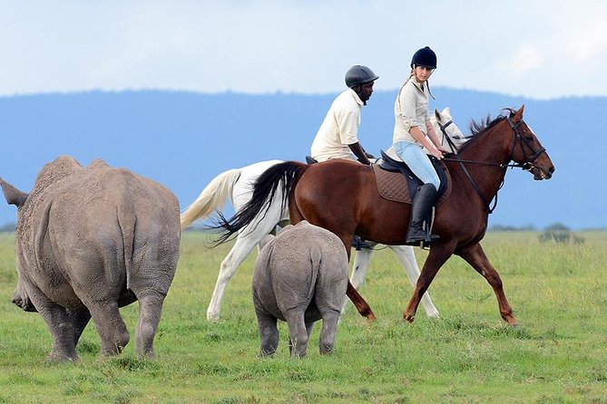 Ol Pejeta Conservancy Day Tour From Nairobi - Inclusions and Additional Information