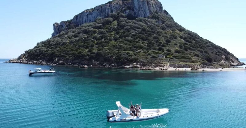 Olbia: Boat Tour to Watch Dolphins and Snorkeling - Pricing and Availability