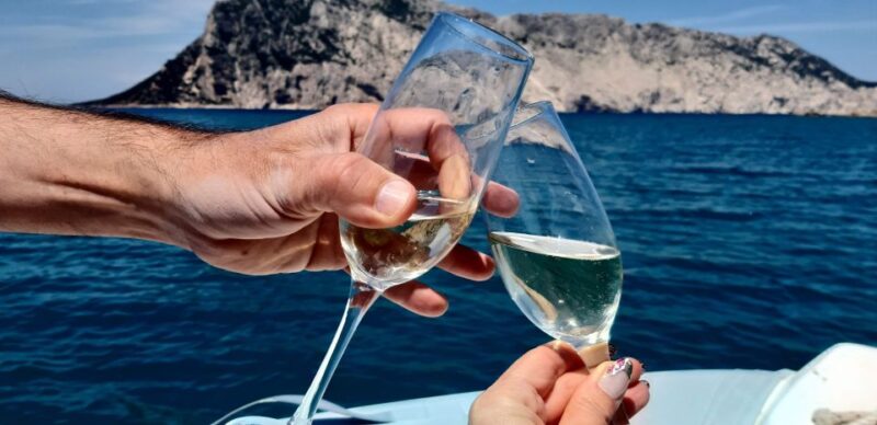 Olbia: Boat Tour to Watch Dolphins and Snorkeling - Highlights of the Experience
