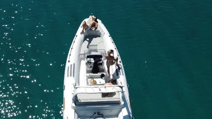 Olbia: Boat Tour to Watch Dolphins and Snorkeling - Chances of Seeing Dolphins