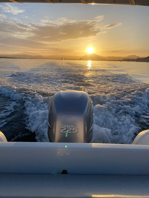 Olbia: Boat Tour to Watch Dolphins and Snorkeling - Customer Feedback and Reviews