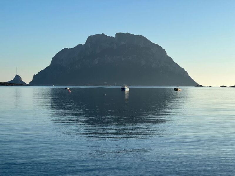 Olbia: Diving in Tavolara Marine Park in Sardinia - Itinerary Details