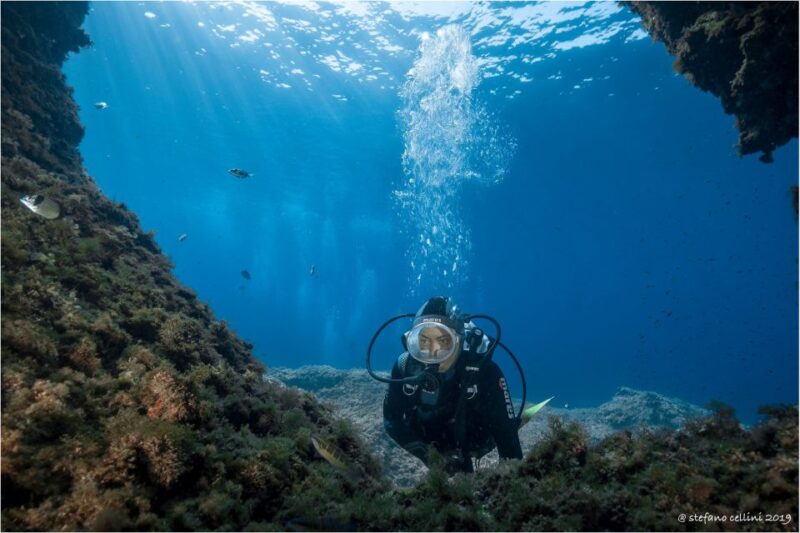 Olbia: Diving in Tavolara Marine Park in Sardinia - Highlights and Experience