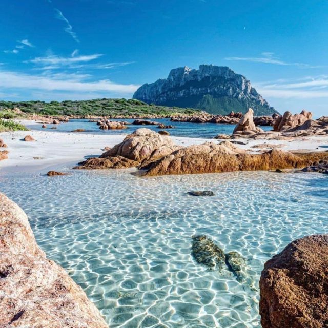 Olbia: Diving in Tavolara Marine Park in Sardinia - Getting to the Starting Location