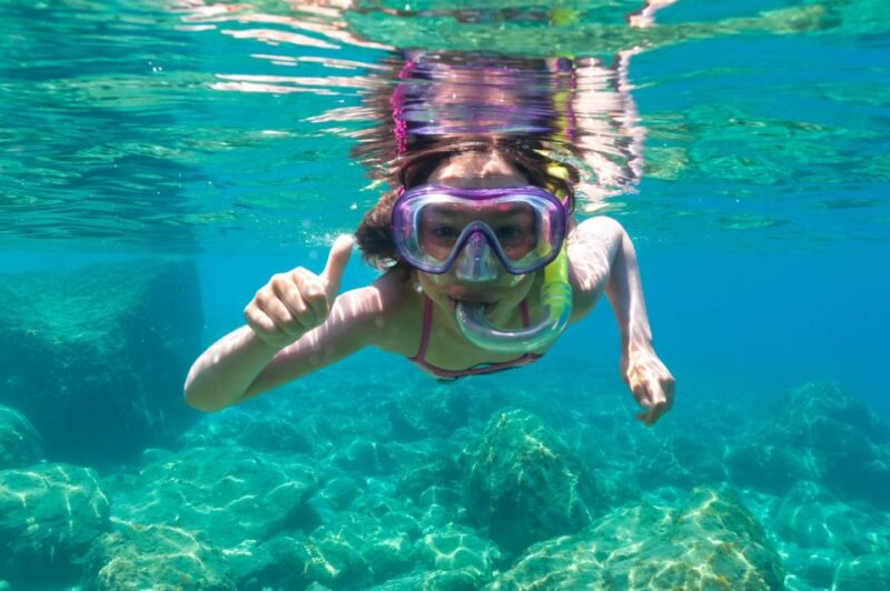 Olbia: Dolphin Watching and Snorkeling Boat Tour - Experience Highlights