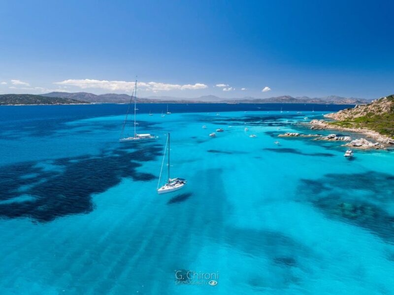 Olbia: Dolphin Watching & Snorkeling Boat Tour Near Figarolo - Key Points