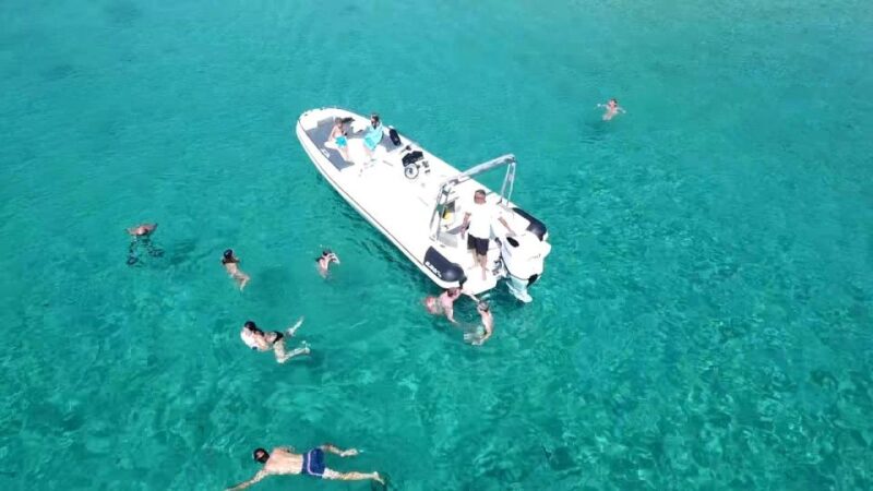 Olbia: Dolphin Watching & Snorkeling Boat Tour Near Figarolo - Highlights of the Experience