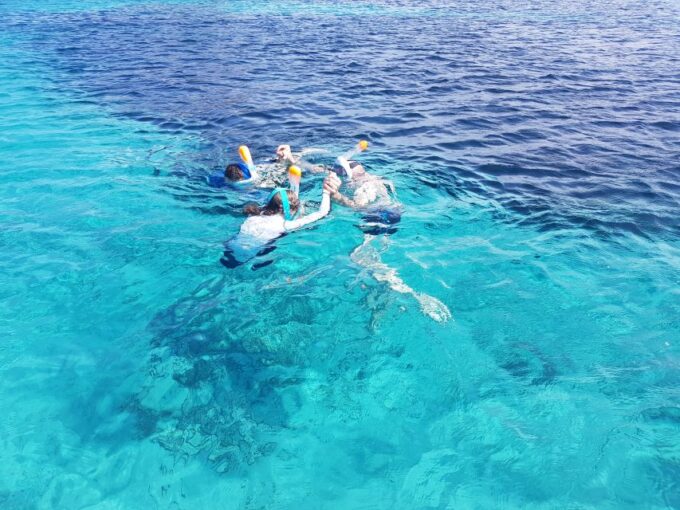 Olbia: Dolphin Watching & Snorkeling Boat Tour Near Figarolo - Frequently Asked Questions
