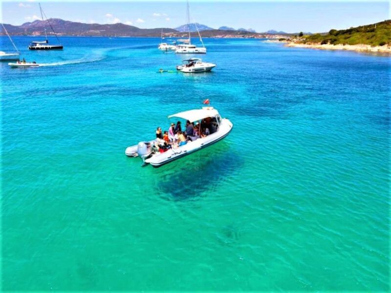 Olbia: Dolphin Watching Tour With Figarolo Island Snorkeling - Important Information