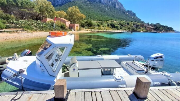 Olbia: Dolphin Watching Tour With Figarolo Island Snorkeling - Booking Flexibility