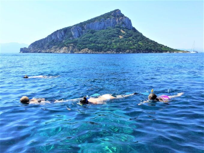 Olbia: Dolphin Watching Tour With Figarolo Island Snorkeling - Experience Highlights
