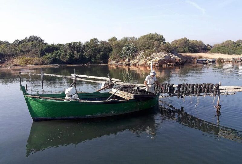 Olbia: Gulf of Olbia Boat Tour - Customer Feedback and Ratings