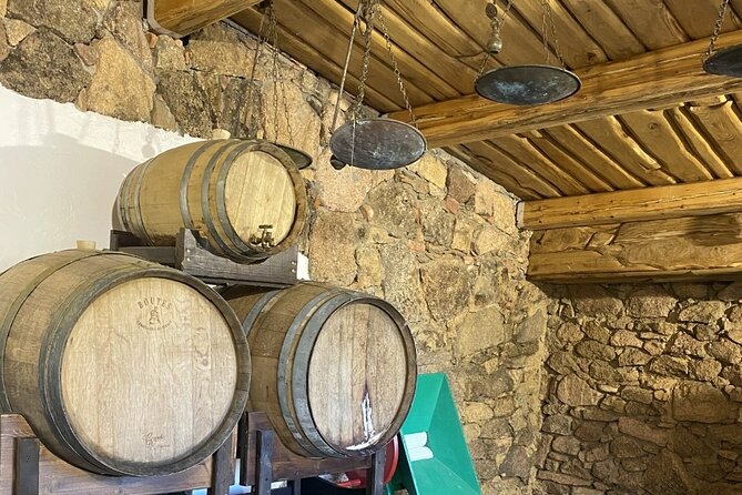 Olbia PASTA CLASS & FOOD EXPERIENCE Within Old Tipycal Village - Dining and Local Specialties