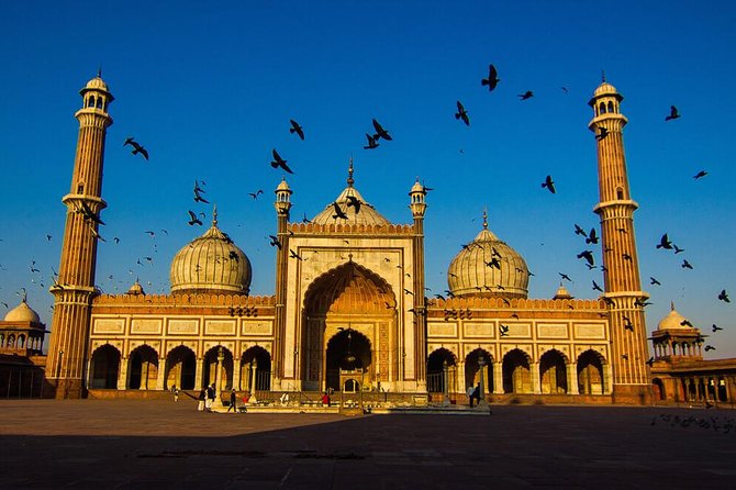 Old and New Delhi Private Guided Day Trip - Transportation Details