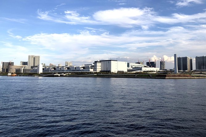 Old and New Tokyo Half Day Cycling - Tokyo Bay Olympic Sites by Bike - Considerations for Participants