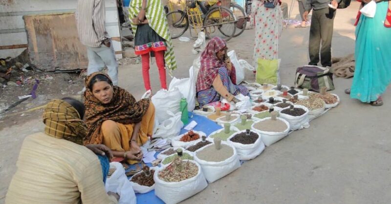 Old Delhi: Private Tour by Car With Guide and Lunch - Recap