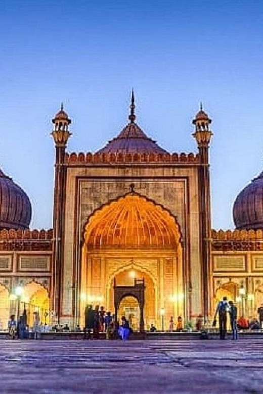 Old Delhi Temples and Spiritual Sites Day Tour - Accessibility and Group Options