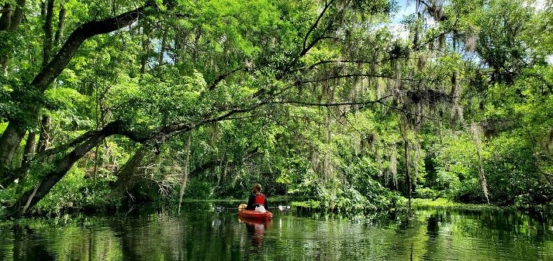 Old Florida Backwater Kayak Adventure Near St. Augustine - Pricing and Booking