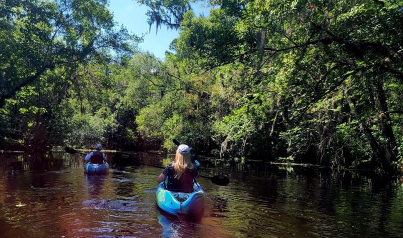 Old Florida Backwater Kayak Adventure Near St. Augustine - Customer Feedback