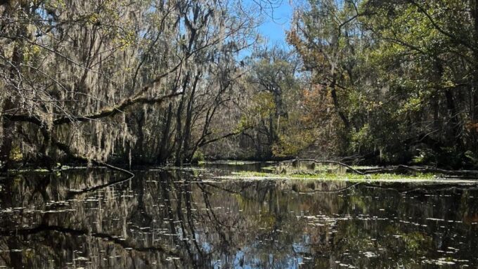 Old Florida Backwater Kayak Adventure Near St. Augustine - Preparation Tips