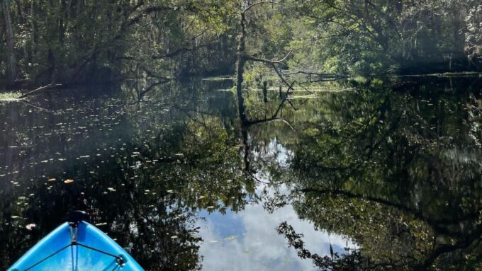 Old Florida Backwater Kayak Adventure Near St. Augustine - Safety Considerations