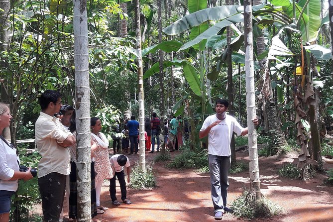 Old Goa Churches, Temples & Spice Plantation With Goan Lunch - Insights Into Plants and Spices