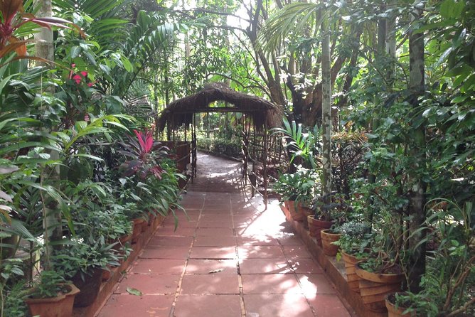Old Goa Churches, Temples & Spice Plantation With Goan Lunch - Goan Cuisine and Cashew Feni