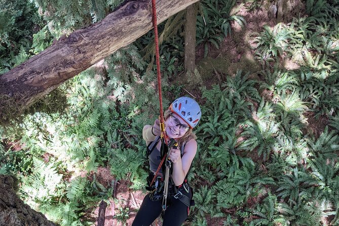 Old-Growth Tree Climbing at Silver Falls State Park - Overview of the Experience