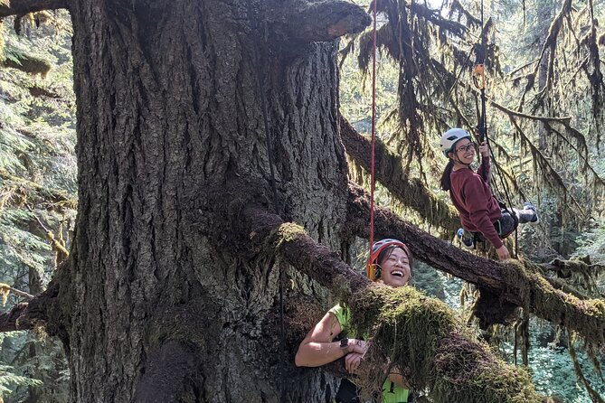 Old-Growth Tree Climbing at Silver Falls State Park - Cancellation and Refund Policy