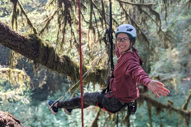 Old-Growth Tree Climbing at Silver Falls State Park - Group Size and Capacity