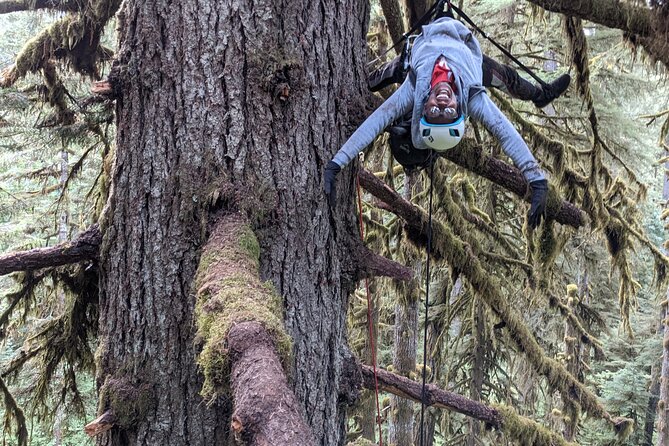 Old-Growth Tree Climbing at Silver Falls State Park - Additional Adaptive Equipment Available
