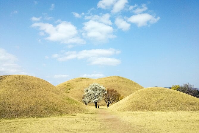 Old Korea Thousand History Tour of Gyeongju From Busan - Professional Tour Guide and Admission