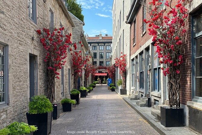 Old Montreal: Private History Walking Tour With Tastings - Private Tour for Your Group