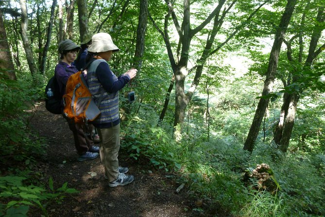 Old Nakasendo Trekking From Karuizawa-Beyond Sugahi Pass to Sakamoto Hotel - Key Points