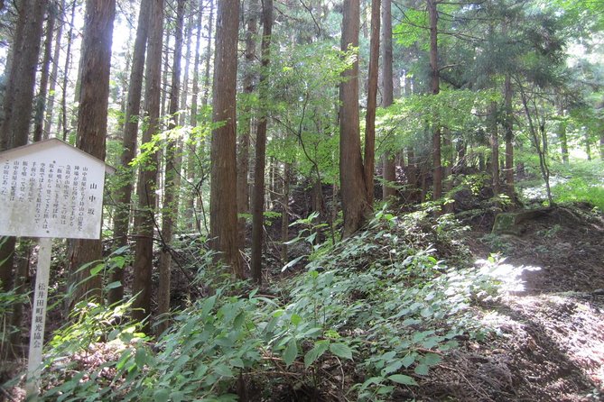 Old Nakasendo Trekking From Karuizawa-Beyond Sugahi Pass to Sakamoto Hotel - Booking and Cancellation