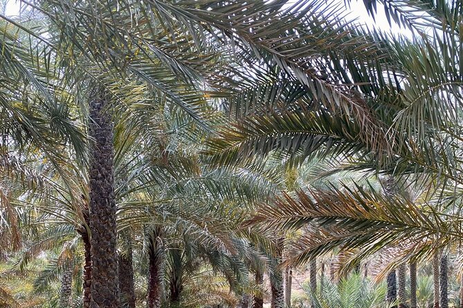 Old Nizwa Authentic Walks - Inclusions and Exclusions