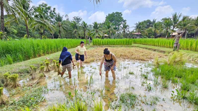 Old Phuket Farm Ticket - Countryside Local Life Culture - Tour Highlights