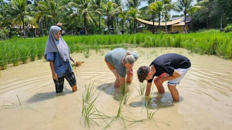 Old Phuket Farm Ticket - Countryside Local Life Culture - FAQs