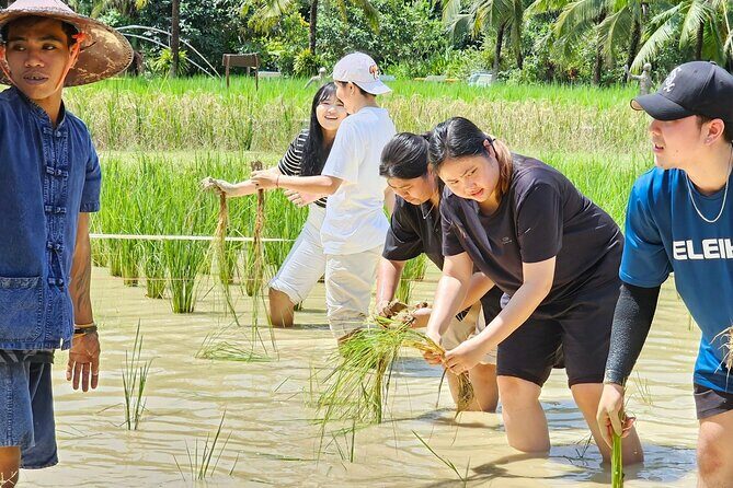 Old Phuket Farm Traditional Phuket Heritage Tour - Exploring the Old Phuket Farm Traditional Heritage Tour: A Deep Dive