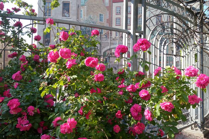 Old Quebec City Private Walking Tour: History and Nature - Personalized Quebec Experience