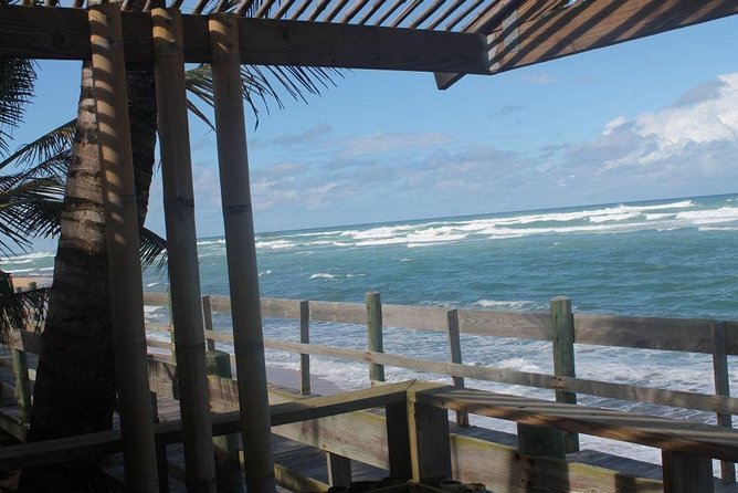 Old San Juan and Piñones Sightseeing Tour via Minibus - Knowledgeable Local Guides